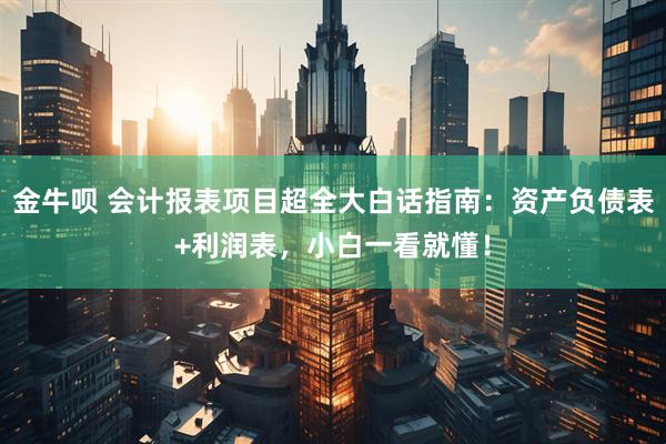 金牛呗 会计报表项目超全大白话指南：资产负债表+利润表，小白一看就懂！