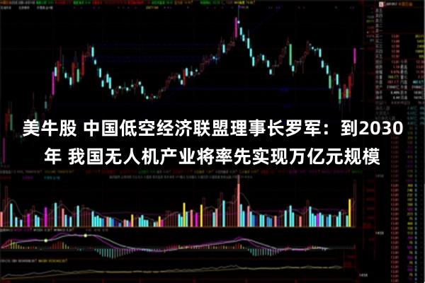 美牛股 中国低空经济联盟理事长罗军：到2030年 我国无人机产业将率先实现万亿元规模
