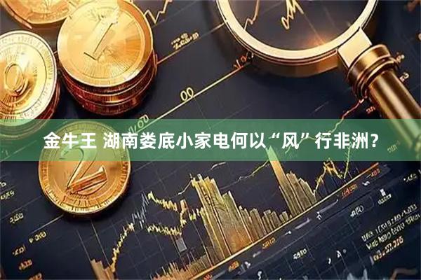金牛王 湖南娄底小家电何以“风”行非洲？