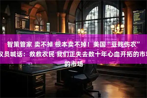 智策管家 卖不掉 根本卖不掉！美国“豆贱伤农” 议员喊话：救救农民 我们正失去数十年心血开拓的市场