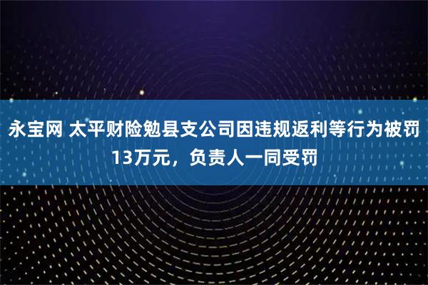 永宝网 太平财险勉县支公司因违规返利等行为被罚13万元，负责人一同受罚