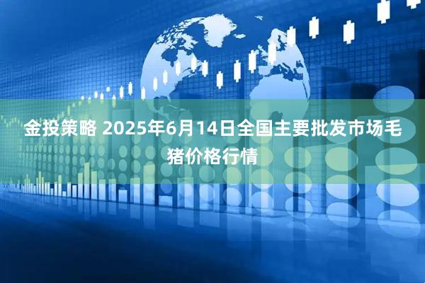 金投策略 2025年6月14日全国主要批发市场毛猪价格行情